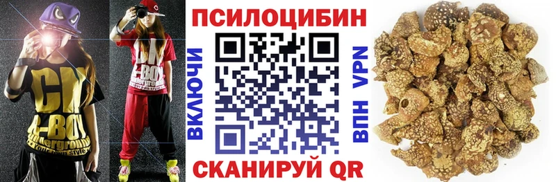 Галлюциногенные грибы ЛСД  где купить наркоту  Болохово 