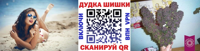 Бошки Шишки план гидра зеркало Болохово сколько стоит